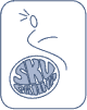 SKV logo